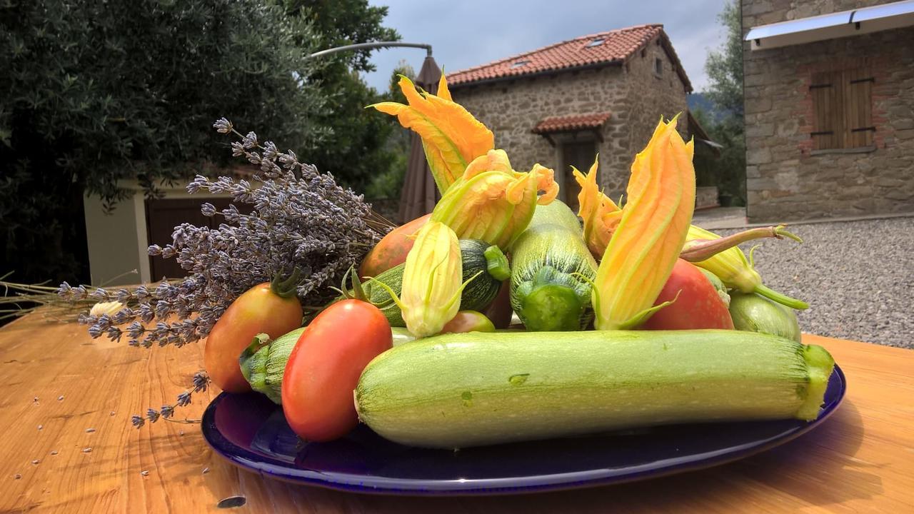 Agripodere Il Falco Pontremoli Exteriör bild